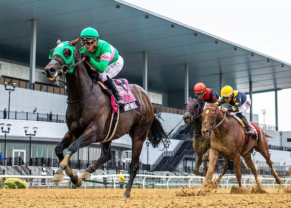 Patriot Spirit, Mike Campbell, Vosburgh Stakes, Aqueduct, Cygames Breeders’ Cup Sprint, Del Mar, America's Best Racing, horse racing, ABR